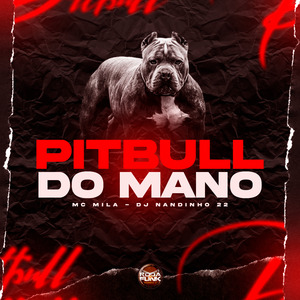 Pitbull do Mano