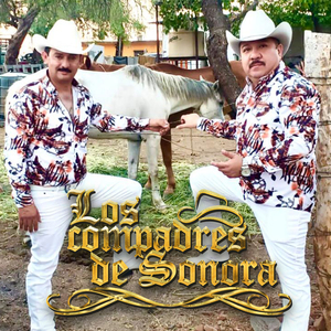 Corrido del Rotoplas