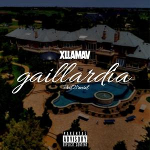 Gaillardia