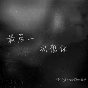 最后一次想你
