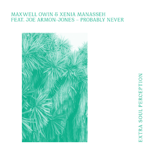 Probably Never (feat. Joe Armon-Jones)