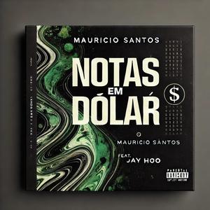Notas em dólar