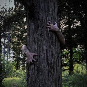 L'ALBERO