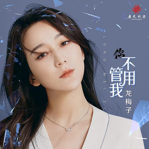 你不用管我 (DJ沈念版)