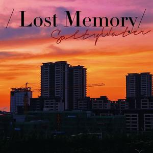 Lost Memory