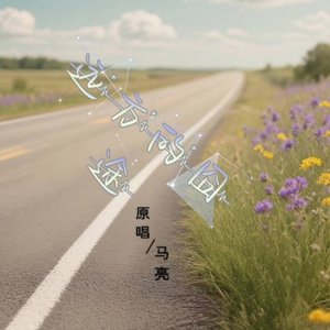 远方的囧途
