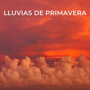 Meditar Todo El Día