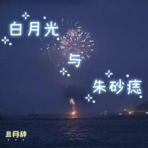白月光与朱砂痣