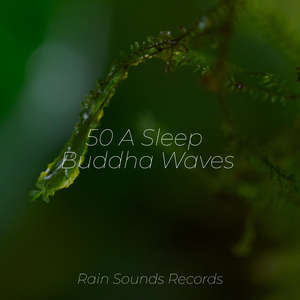 Swift Current Dreams