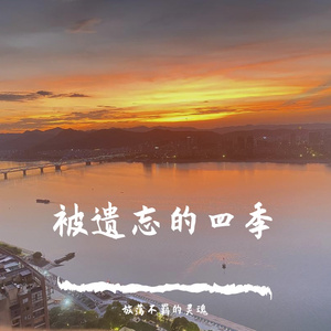 翩翩起舞的叶子