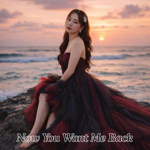 Now You Want Me Back