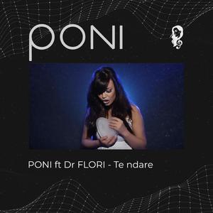 Te ndare (feat. Dr Flori)