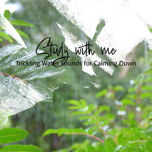 Trickling Water Sounds for Calming Down, Pt. 13