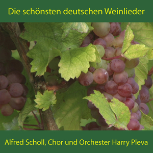 Schütt die Sorgen in ein Gläschen Wein