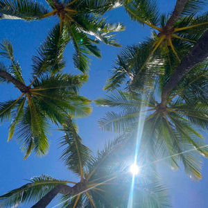 When Will it B enough (feat. Lil Greg!)