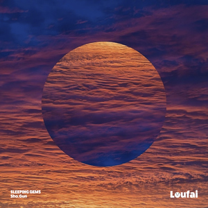 Sonora Sunset