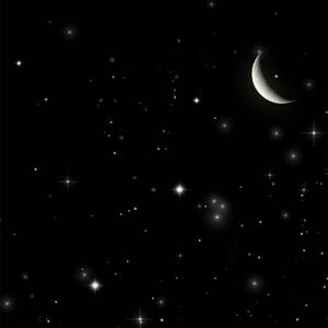 night