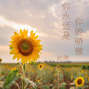 你永远是你的骄傲