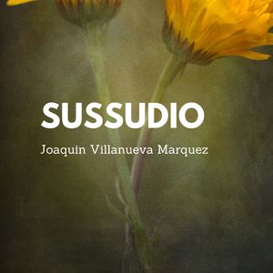 Sussudio