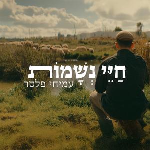 חיי נשמות