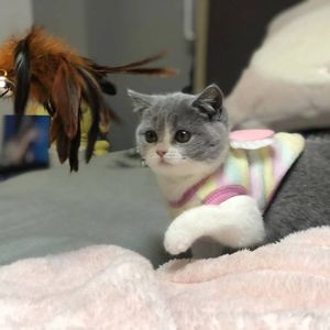 山鬼（Cover 龚琳娜）