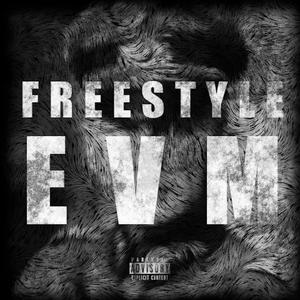 FREESTYLE EVM