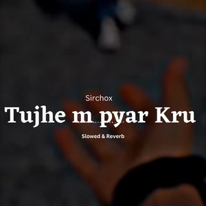 Tujhe mein Pyar Kru (Slowed & Reverb)