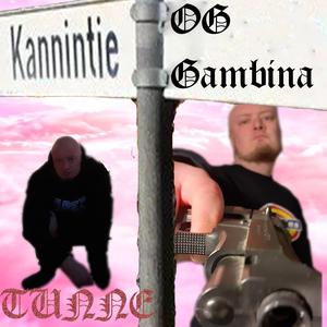 Gambinan Kämpän Siivous