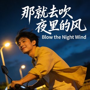 那就去吹夜里的风.mp3