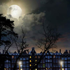 慢慢前路 (DJ版)