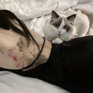 永劫无间之菜鸟传说