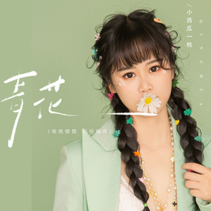 青花(恍恍惚惚 已经隔世) (伴奏)