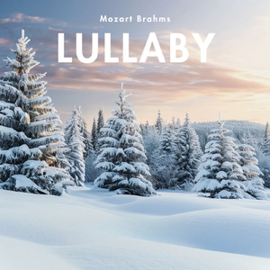 優しいナッツと安らぎピアノ