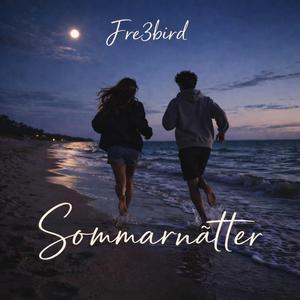Sommarnätter (Radio Edit)