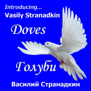 Голуби