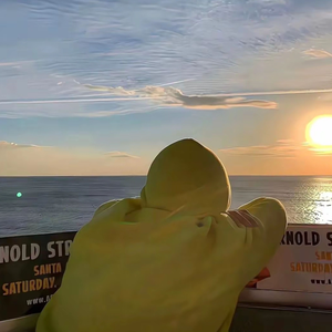 如果什么都是命中注定安排好的