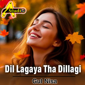 Dil Lagaya Tha Dillagi