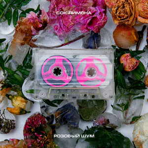 В Моих Венах