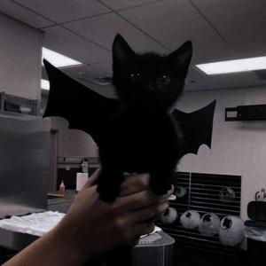 WITCHBLADES (feat. discent)