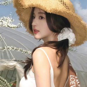 笳引征鸿