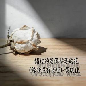 错过的爱像枯萎的花 (缘分没有长短)