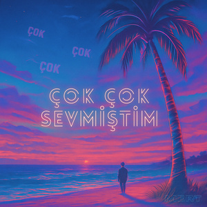 çok çok sevmiştim