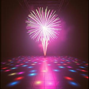 패션의 그 이름 아나이스