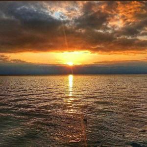 迷人的危险丨短片版