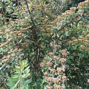 旅途（纯音乐）