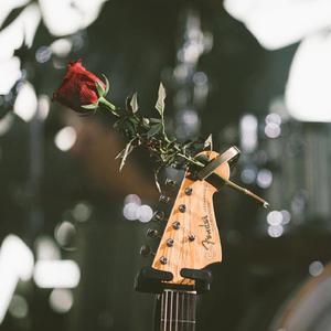 恋爱感应（Live）