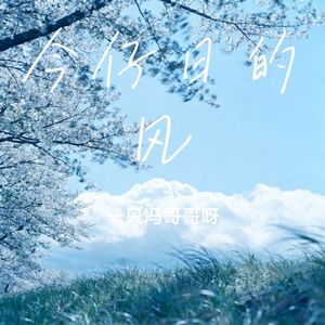 今仔日的风