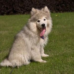 你是我唯一的光