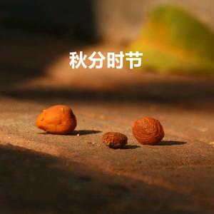 秋分时节