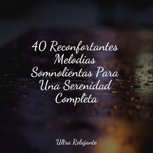 Hermoso Descanso Nocturno